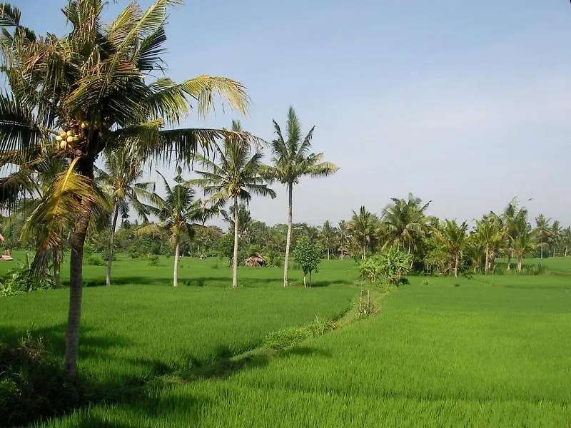 Green Field Hotel And Bungalow Ubud