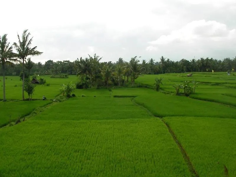 Green Field Hotel And Bungalow Ubud  Indonesia