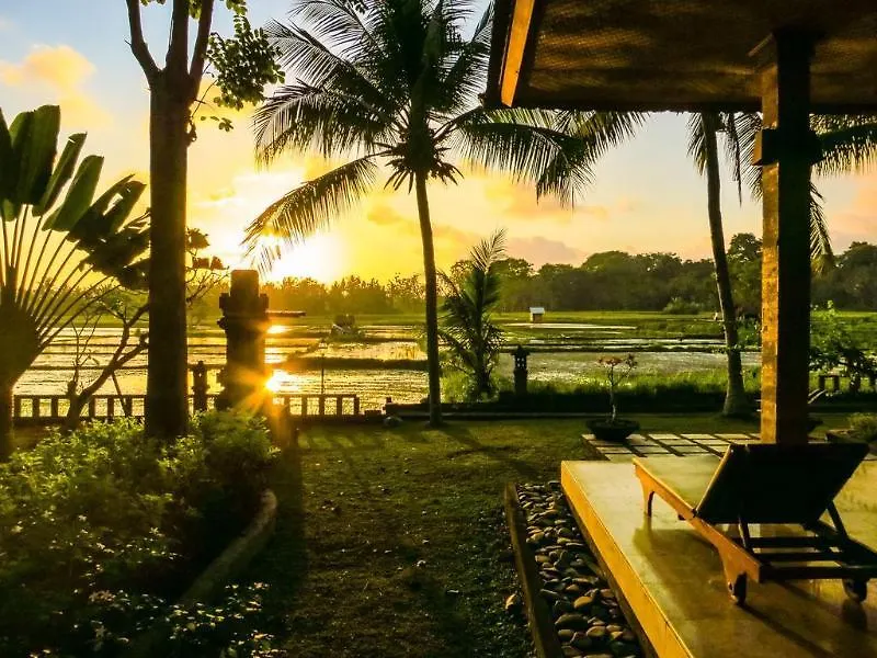 ***  Green Field Hotel And Bungalow Ubud  Indonesia