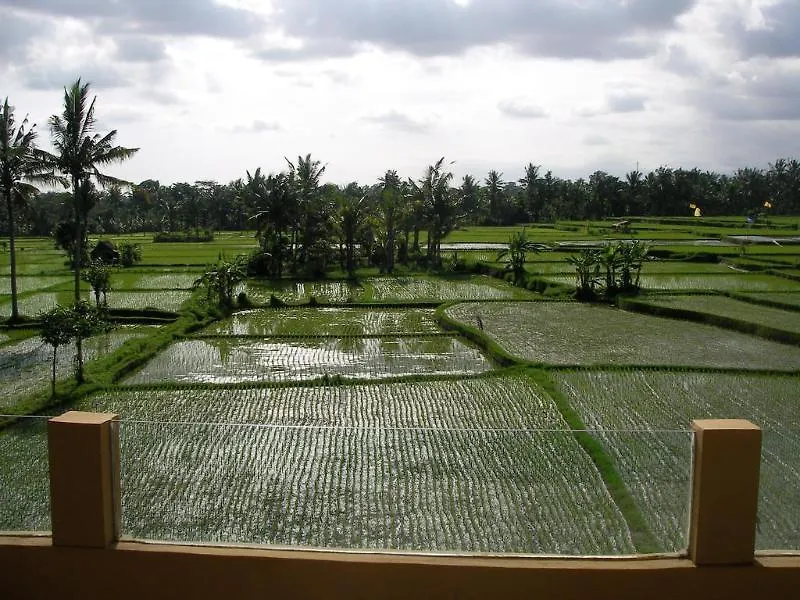 Green Field Hotel And Bungalow Ubud  Indonesia